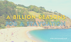 A billion reasons staycation (at least)